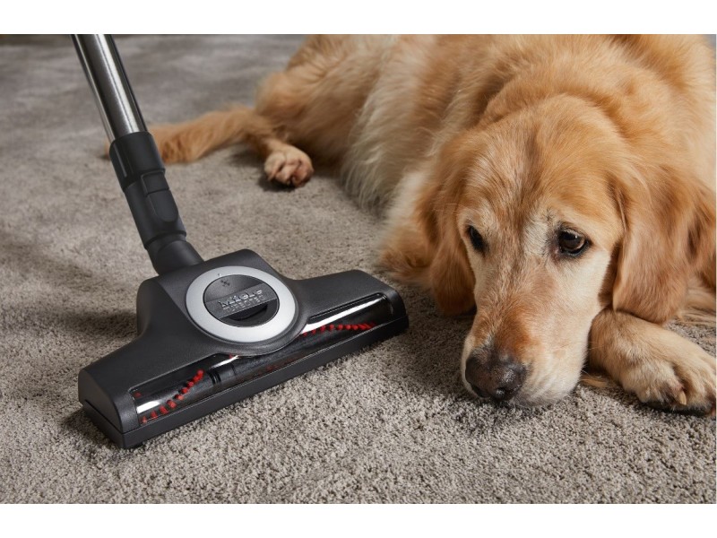 Complete C3 Cat & Dog Flex Red Mango Bag Vacuum Cleaner Complete C3 Cat&Dog Flex Power – Miele Аксесоари за прахосмукачки