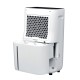 Whirlpool DE20W5252 6.5 L 44 dB 420 W Black, White DE20W5252 – Whirlpool Йонизатори и овлажнители за въздух