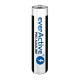 Alkaline batteries everActive Pro Alkaline LR03 AAA - shrink pack - 10 pieces LR0310PAK – everActive Батерии