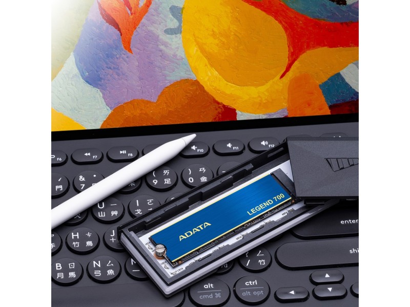 ADATA LEGEND 700 M.2 512 GB PCI Express 3.0 3D NAND NVMe ALEG-700-512GCS – ADATA Solid-State Drive (SSD)