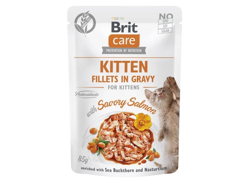 BRIT Care Cat Kitten Savory Salmon Pouch - wet cat food - 85 g DLKRITKAM0032 – Brit Храна за котки