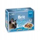 BRIT Premium Family Plate Mix of Flavors in Sauce - wet food for cats - 12x85g DLKRITKAM0043 – Brit Храна за котки