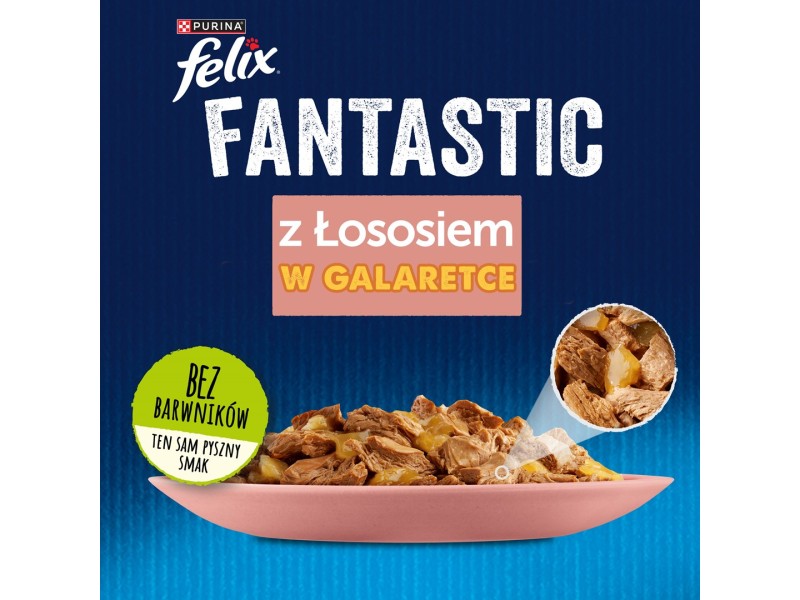 FELIX Fantastic with salmon in jelly - wet food for cats - 85g DLZFEJKMK0019 – PURINA NESTLE Храна за котки