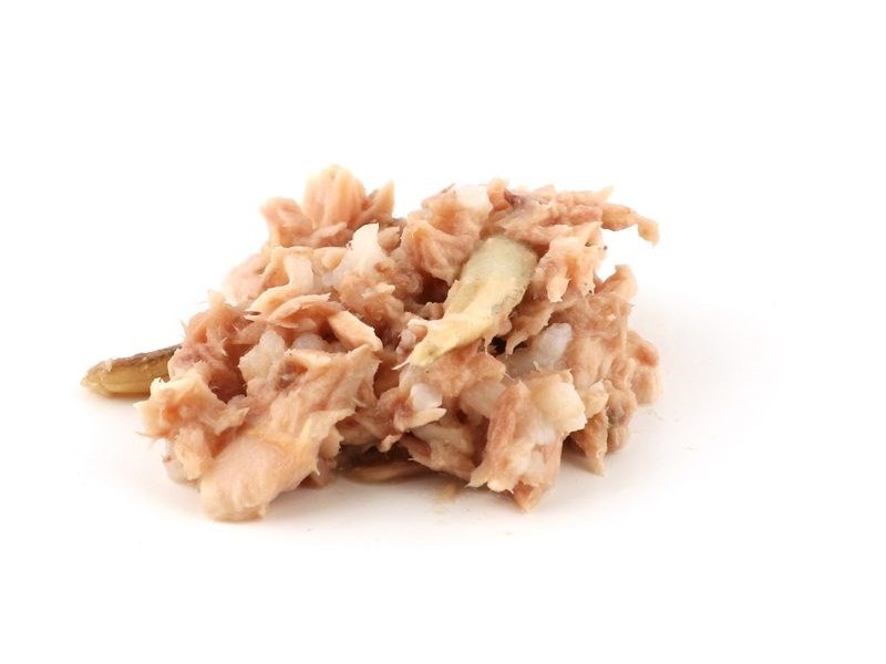 FISH4CATS Mackerel with shrimp - wet cat food - 70g DLKF4DKAM0014 –  Храна за котки