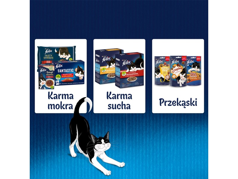 Felix Fantastic country flavors in jelly - Wet food for cats - 24x 85g DLZFEJKMK0022 – PURINA NESTLE Храна за котки