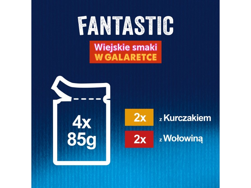 Felix Fantastic in jelly Beef with Chicken 340 g (4 x 85 g) DLZFEJKMK0020 – PURINA NESTLE Храна за котки