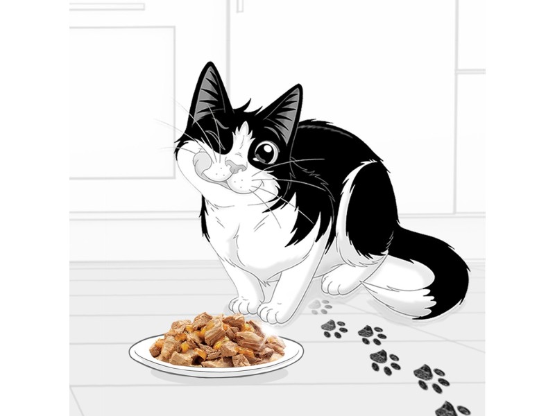Felix Fantastic rabbit, lamb - wet food for cats 340 g (4x 85 g) DLZPUIKMK0082 – PURINA NESTLE Храна за котки