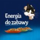 Friskies Jelly Beef - Wet Cat Food - 100 g DLZFEJKMK0015 – PURINA NESTLE Храна за котки