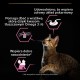 PURINA Adult Delicate Digestion Turkey in gravy - wet cat food - 85g DLSPUIZWI0075 – PURINA NESTLE Храна за котки