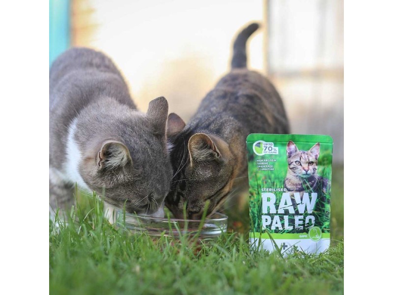 RAW PALEO Adult Cat Sterilised Game - wet cat food - 100 g DLKVEEKAM0008 – VetExpert Храна за котки