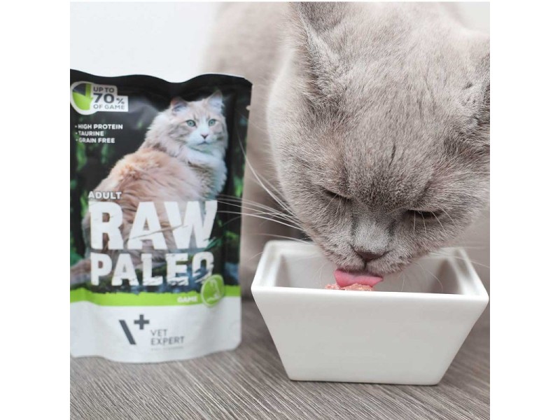 RAW PALEO Adult Cat Venison - wet cat food - 100 g RAW PALEO Adult Cat Venison - wet cat food - 100 g DLKVEEKAM0002 – VetExpert Храна за котки