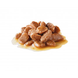 ROYAL CANIN Hair & Skin Care slices in gravy - wet cat food - 85g