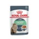 Royal Canin Digest Sensitive Care - wet cat food - 12x85g DLZROYKMK0056 – Royal Canin Храна за котки