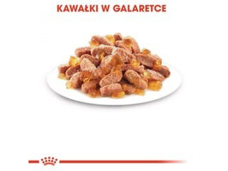 Royal Canin FHN Kitten Instinctive in sauce - wet food for kittens - 12x85g Royal Canin FHN Kitten Instinctive in sauce - wet food for kittens - 12x85g