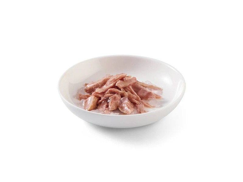 SCHESIR Tuna in jelly - wet cat food - 6x50g DLKAPFKAM0058 – Agras Pet Foods Храна за котки