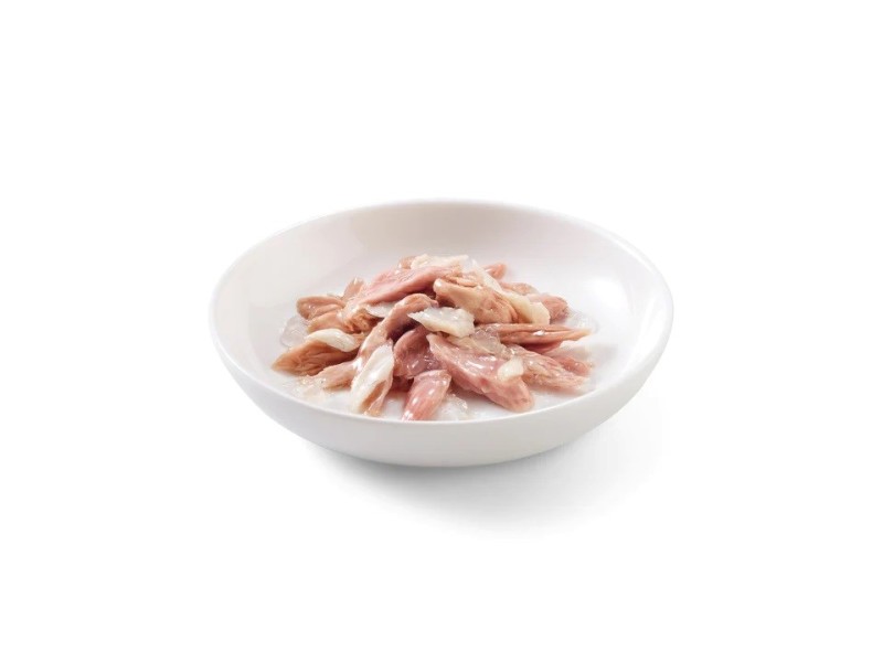 SCHESIR in jelly Tuna with hake - wet cat food - 85 g DLKAPFKAM0012 – Agras Pet Foods Храна за котки