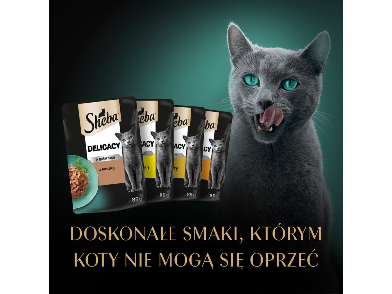 SHEBA Delicacy Drobiowe Smaki w galaretce - mokra karma dla kota - 40x85 g DLKSHBKAM0027 – Sheba Храна за котки