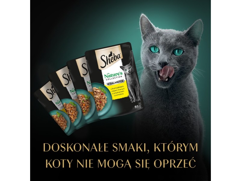 SHEBA Natures Collection Poultry Flavors in jelly - wet cat food - 40 x 85g DLKSHBKAM0025 – Sheba Храна за котки