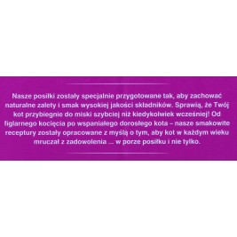 WHISKAS Mix Favourites in jelly - wet cat food - 40x85 g