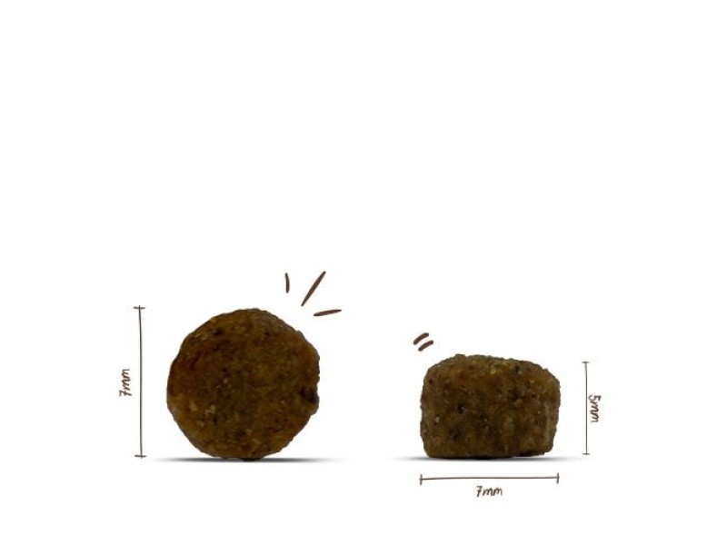 BOSCH Sanabelle Adult Poultry - dry cat food - 2kg DLSBOCZWI0032 – BOSCH Храна за котки