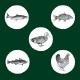 EDEN Original Cousine - dry cat food - 10 kg EDEN Original Cousine - dry cat food - 10 kg DLKEDEKAS0004 – Храна за котки