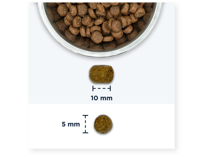 EUKANUBA Adult Chicken - dry cat food - 2kg DLKEUKKAS0007 – EUKANUBA Храна за котки