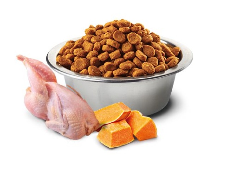 Farmina Pet Food N&D Pumpkin feline Adult 1.5kg cats dry food Chicken PND0150014 – Farmina Храна за котки