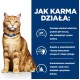 HILLS PD C/D Urinary Care - dry cat food - 3kg DLKHLSKAS0016 – Hills Храна за котки