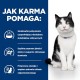 HILLS PD I/D Digestive Care Chicken - dry cat food - 3kg DLKHLSKAS0017 – Hills Храна за котки