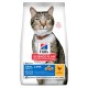 HILLS SP Adult Oral Care Chicken - dry cat food - 1.5kg HILLS SP Adult Oral Care Chicken - dry cat food - 1.5kg DLKHLSKAS0026 – Hills Храна за котки