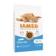 IAMS Advanced Nutrition Cat Adult Ocean Fish - dry cat food - 10 kg DLKIAMKAS0003 – IAMS Храна за котки