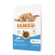 IAMS Advanced Nutrition Cat Adult Ocean Fish - dry cat food - 10 kg DLKIAMKAS0003 – IAMS Храна за котки