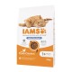 IAMS Advanced Nutrition Light/Sterilised - dry cat food - 10 kg IAMS Advanced Nutrition Light/Sterilised - dry cat food - 10 kg DLKIAMKAS0005 – IAMS Храна за котки