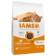 IAMS Advanced Nutrition Senior - cibo secco per gatti - 10 kg DLKIAMKAS0007 – IAMS Храна за котки