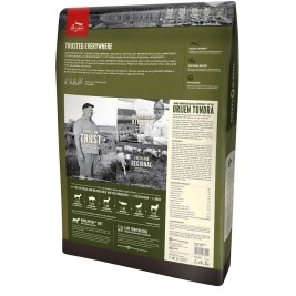 Orijen Tundra cats dry food 340 g Adult Duck, Wild boar