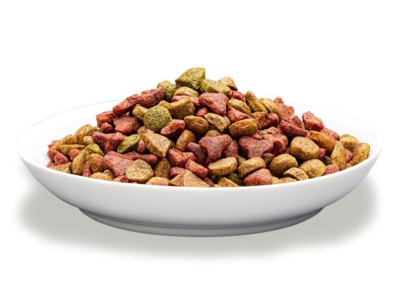 PREVITAL Cat Food Adult with Chicken - Dry Cat Food - 1.4 kg DLKPVTKAS0001 –  Храна за котки