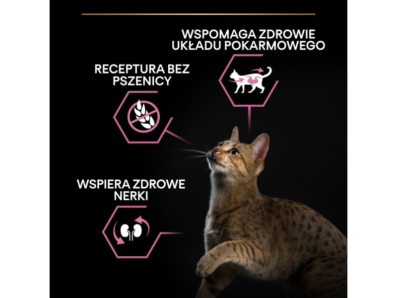 PURINA Pro Plan Delicate digestion Turkey - dry cat food - 400g DLSPUIZWI0082 – PURINA NESTLE Храна за котки