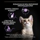 PURINA Pro Plan Kitten Healthy Start Chicken - dry cat food - 400g DLSPUIZWI0090 – PURINA NESTLE Храна за котки