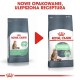 ROYAL CANIN Digestive Care - dry cat food - 400 g ROYAL CANIN Digestive Care - dry cat food - 400 g AMABEZKAR0621 – Royal Canin Храна за котки