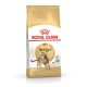 ROYAL CANIN FBN Bengal Adult - dry cat food - 10kg DLZROYKSK0022 – Royal Canin Храна за котки