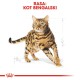 ROYAL CANIN FBN Bengal Adult - dry cat food - 10kg DLZROYKSK0022 – Royal Canin Храна за котки