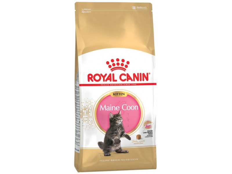 ROYAL CANIN Maine Coon Kitten - dry cat food - 2 kg ROYAL CANIN Maine Coon Kitten - dry cat food - 2 kg