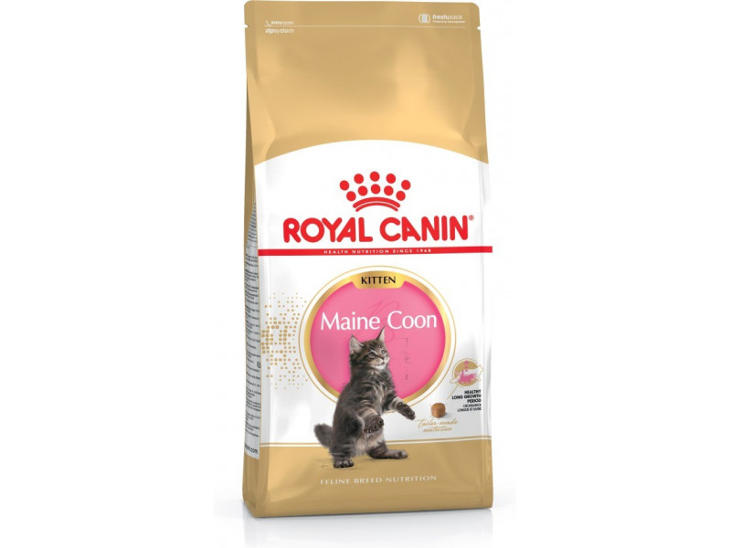 ROYAL CANIN Maine Coon Kitten- dry cat food - 4 kg ROYAL CANIN Maine Coon Kitten- dry cat food - 4 kg