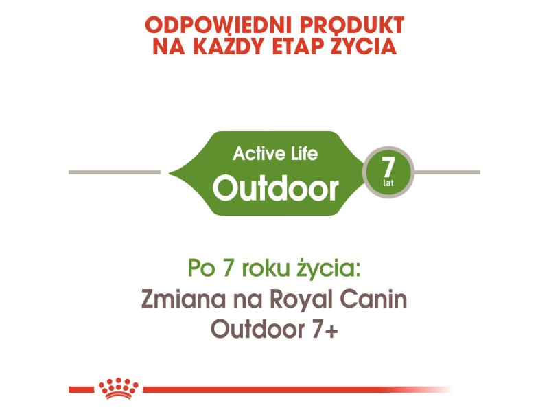 Royal Canin Active Life Outdoor cats dry food 4 kg Adult Poultry AMABEZKAR0827 – Royal Canin Храна за котки