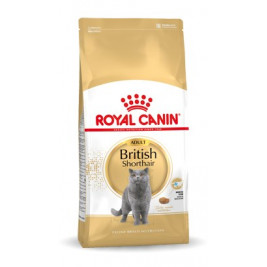 Royal Canin British Shorthair Adult cats dry food 4 kg