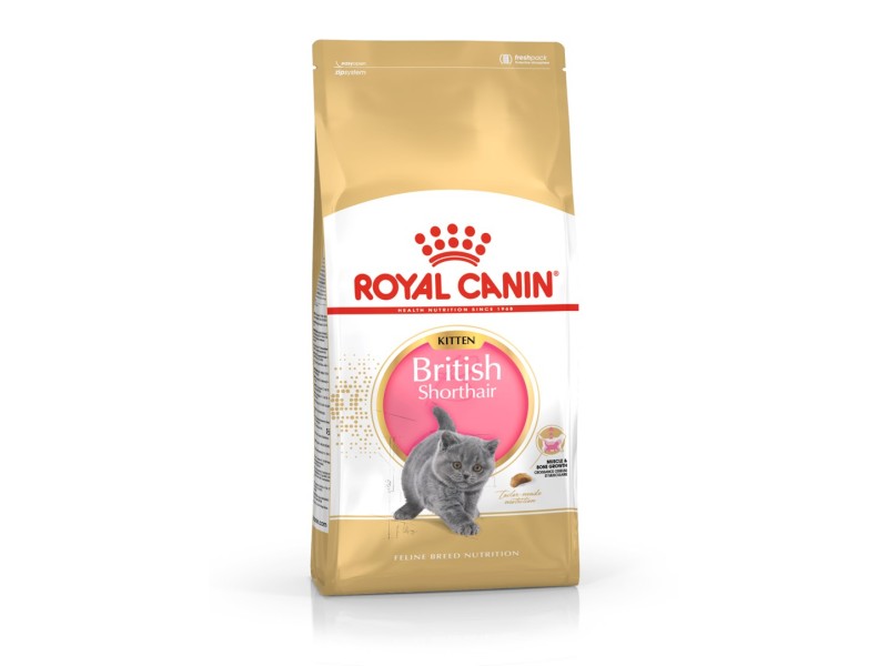 Royal Canin British Shorthair Kitten cats dry food 2 kg Poultry, Rice, Vegetable AMABEZKAR1028 – Royal Canin Храна за котки