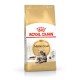 Royal Canin FBN Maine Coon Adult -  dry food for adult cats - 4kg DLZROYKSK0004 – Royal Canin Храна за котки