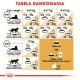 Royal Canin FBN Maine Coon Adult -  dry food for adult cats - 4kg DLZROYKSK0004 – Royal Canin Храна за котки