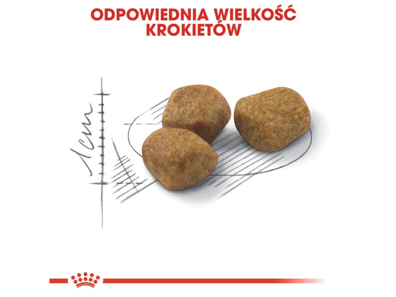Royal Canin Feline Fit 2kg cats dry food Adult AMABEZKAR0910 – Royal Canin Храна за котки
