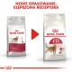 Royal Canin Feline Fit 2kg cats dry food Adult AMABEZKAR0910 – Royal Canin Храна за котки